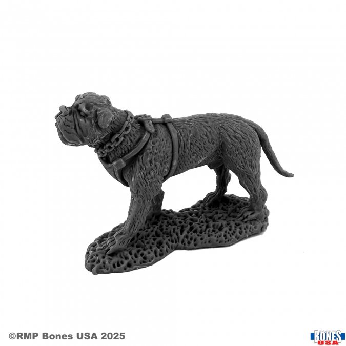 Reaper Legends: Garr, War Dog 