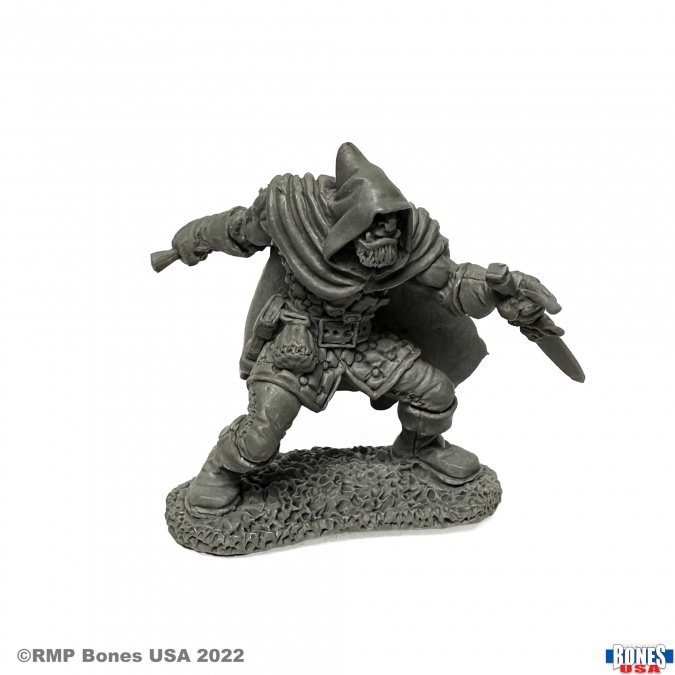Reaper Legends: Rogan, Half-Orc Thief Half Orc Rogue 