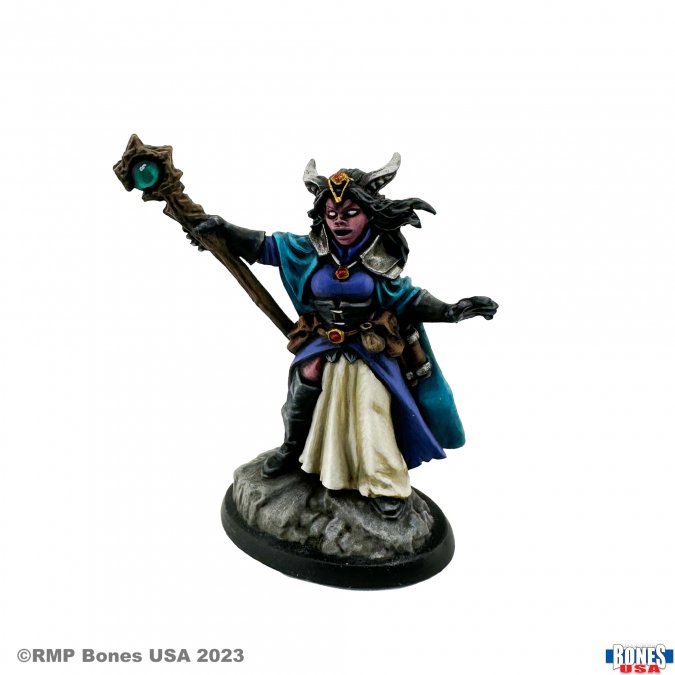 Reaper Legends: Valavir Nightsong, Hellborn Wizard Hellborn Sorceress 