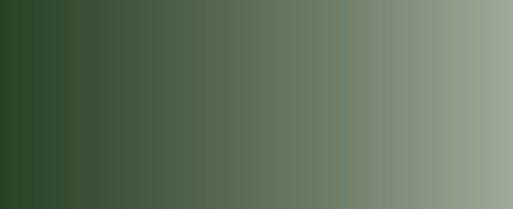 Vallejo Model Air Color 017: Russian Green 