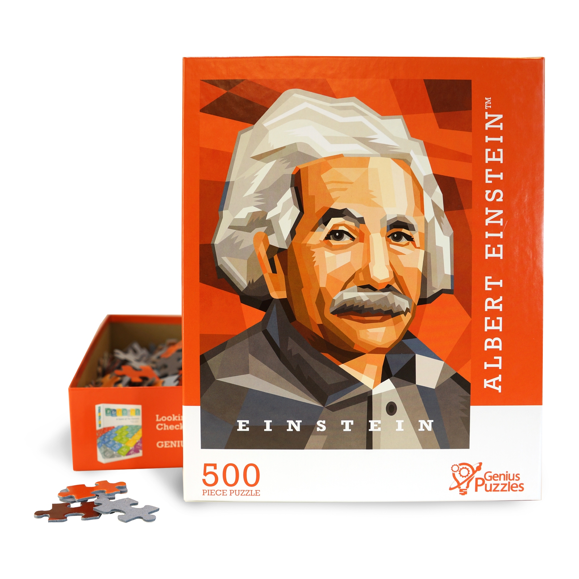 Scientist Jigsaw Series: Albert Einstein (500pcs) 