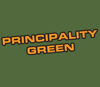 Secret Weapon Miniatures: Paint: Principality Green 