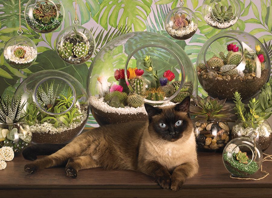 Cobble Hill Puzzles (1000): Terrarium Cat 
