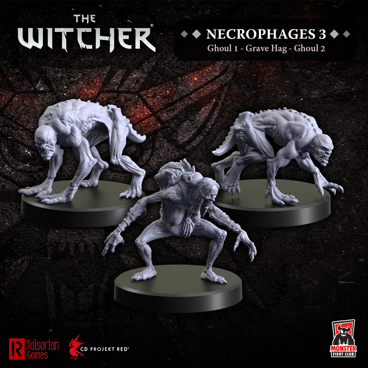 The Witcher: RPG: Necrophages: Grave Hag 