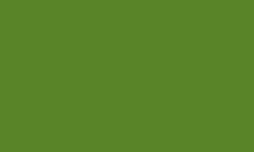 Vallejo Model Color 081: Medium Olive 