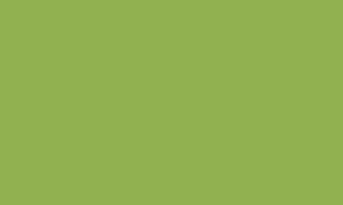 Vallejo Model Color 079: Golden Olive 