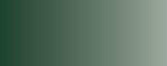 Vallejo Model Air Color 018: Cam. Black Green 