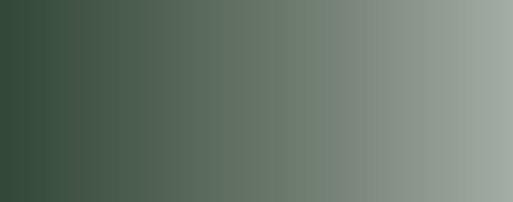 Vallejo Model Air Color 019: Cam. Dark Green 