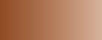 Vallejo Model Air Color 026: US Flat Brown 4A 
