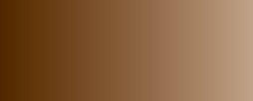 Vallejo Model Air Color 029: Dark Earth 4B 