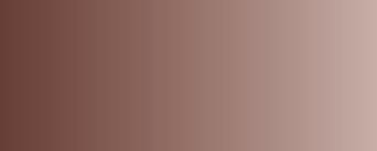 Vallejo Model Air Color 035: Cam. Light Brown 