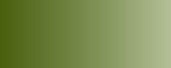 Vallejo Model Air Color 092: Medium Olive 