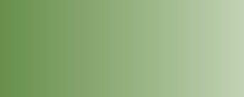 Vallejo Model Air Color 095: Pale Green 