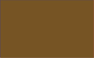 Vallejo Surface Primer (17ml): Leather Brown 