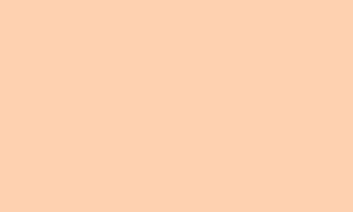 Vallejo Model Color 018: Flat Flesh 