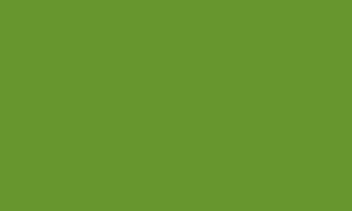 Vallejo Model Color 082: Olive Green 