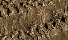 Vallejo Diorama Effects: Brown Earth 