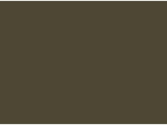 Vallejo Surface Primer (17ml): UK Bronze Green  