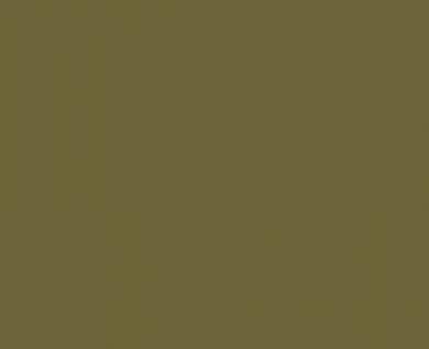 Vallejo Surface Primer (200ml): Earth Green (IJA Tutikusa-IRO) 