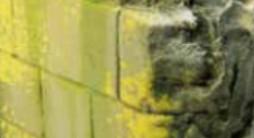 Vallejo Weathering Effects: Moss and Lichen (40ml) 