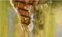 Vallejo Weathering Effects: Slimy Grime Dark (40ml) 