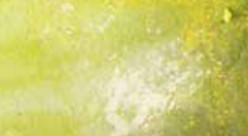 Vallejo Weathering Effects: Slimy Grime Light (40ml) 