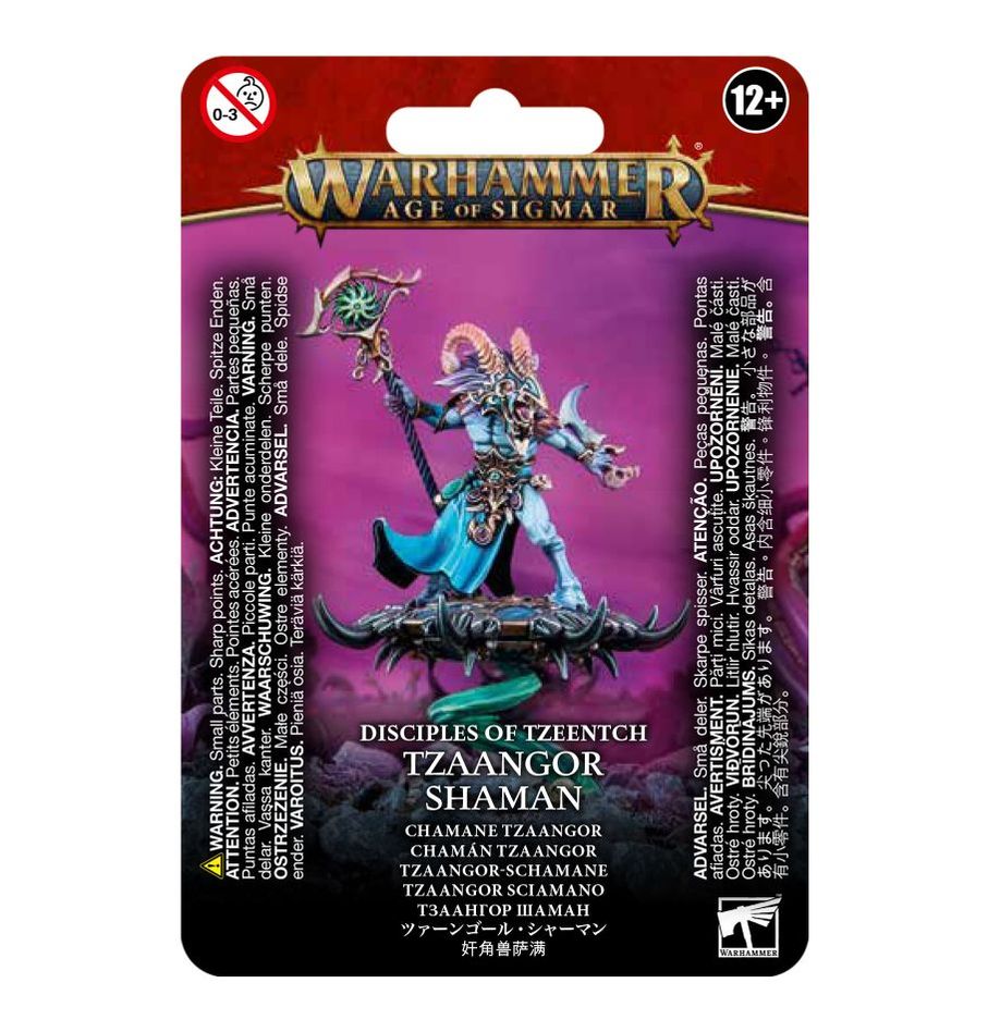 Warhammer: Age Of Sigmar: Disciples of Tzeentch: ARCANITES TZAANGOR SHAMAN 