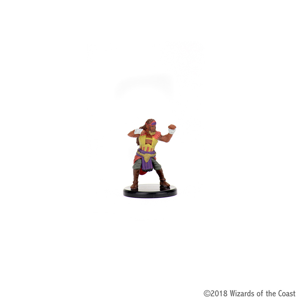 Waterdeep Dragon Heist: #011 Human Sun Soul Monk (C) 