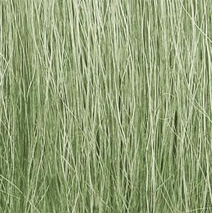 Woodland Scenics: Field Grass - Light Green 