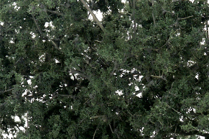 Woodland Scenics: Fine Leaf Foliage- Dark Green 