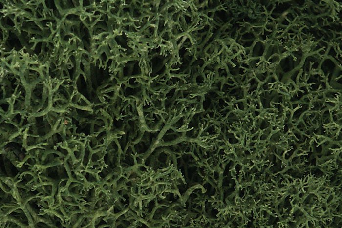 Woodland Scenics: Lichen- Medium Green 
