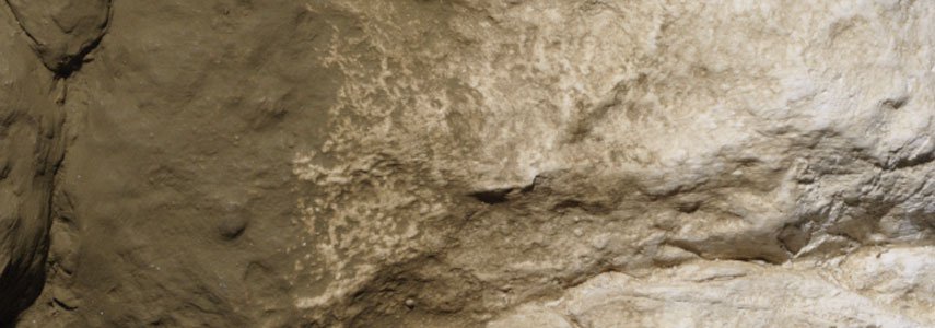 Woodland Scenics: Liquid Pigments- Earth Undercoat 
