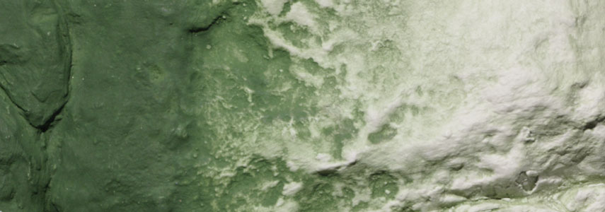 Woodland Scenics: Liquid Pigments- Green Undercoat 