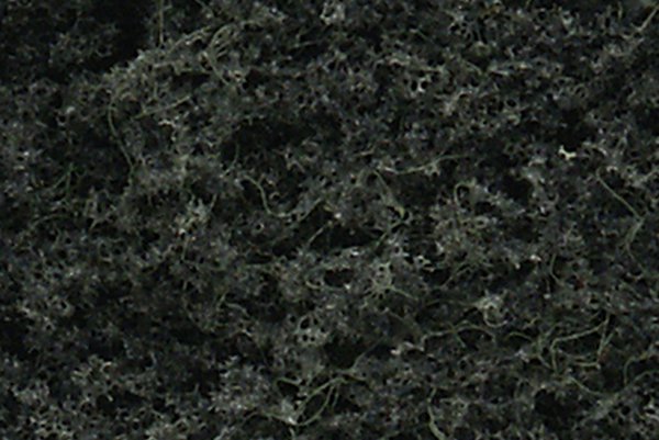 Woodland Scenics: Realistic Tree Kits: Pine Trees- 16 (6" - 8") 