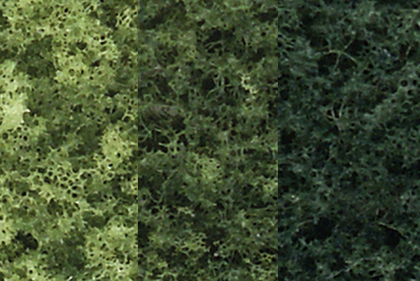 Woodland Scenics: Realistic Tree Kits: Deciduous Trees- 7 (5" - 7") 