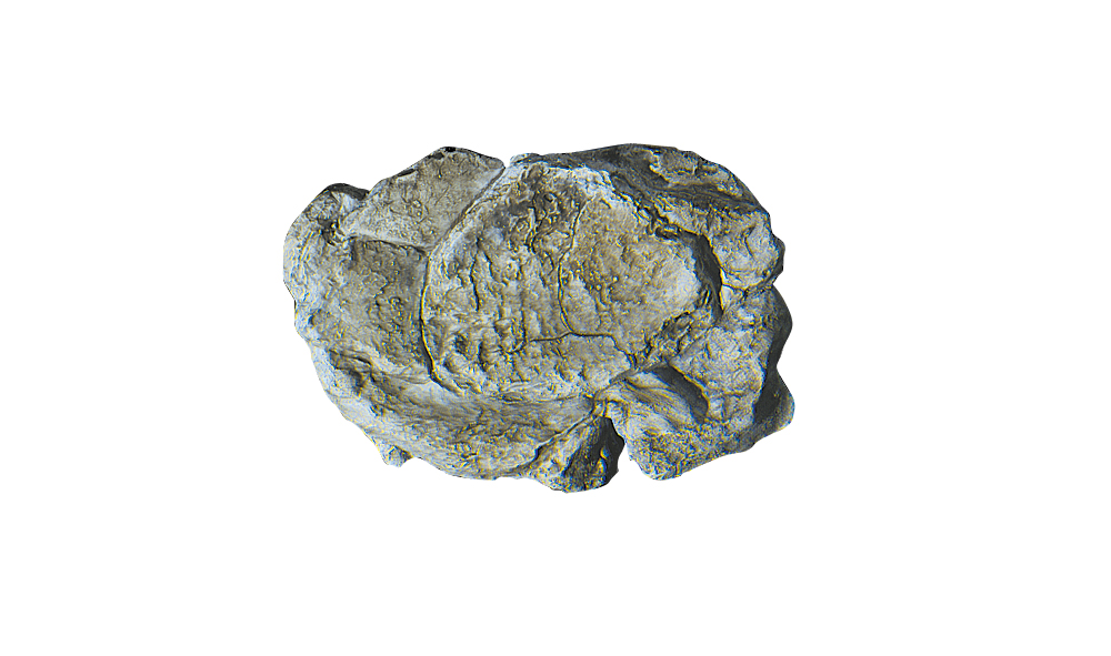 Woodland Scenics: Rock Mold- Wind 