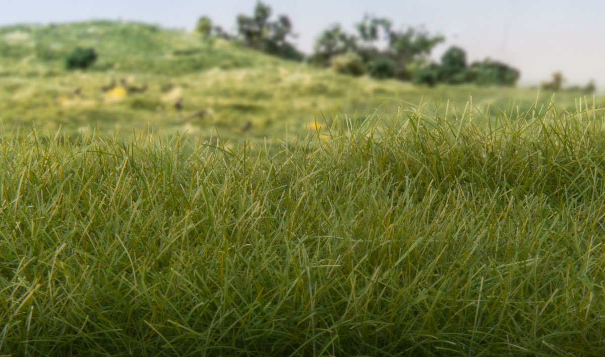 Woodland Scenics: Static Grass- Dark Green 12mm (28g) 