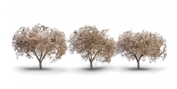 Woodland Scenics: Woodland Classics: Cherry Blossoms (2.3 - 3.3) 