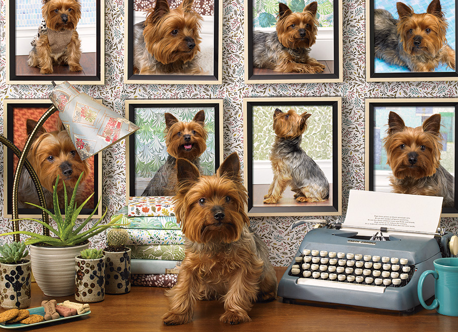 Cobble Hill Puzzles (1000): Yorkies Are My Type 
