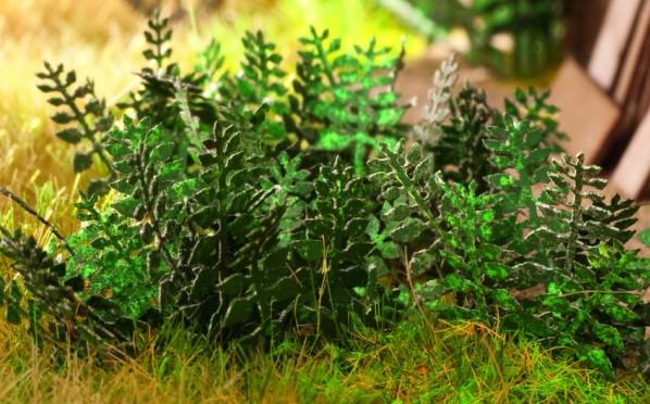 Ziterdes: Stinging Nettle 