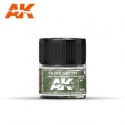 AK-Interactive Real Colors RC209: Olive Green/USMC Green RAL 6003/FS34095 