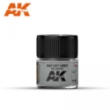 AK-Interactive Real Colors RC285: RAF SKY GREY / DKH L40/52 GRAU / FS 26373 