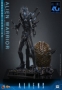 ALIEN WARRIOR (DELUXE VERSION) 1:6 SCALE FIGURE - 9157852 [4895228626011]