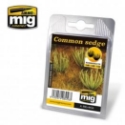 AMMO Laser Cut Plants: Common Sedge 