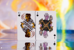 Baldur's Gate 3 Collector's Edition Playing Cards - ROC91518 [5061102915185]