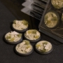 Battle Ready Bases: Arid Steppe Round Lip 40mm (x5) - GGRGGB-ASRL40 [738956788726]
