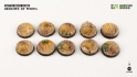 Battle Ready Bases: Deserts of Maahl Round 25mm (x10) 