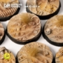Battle Ready Bases: Dunes of Bourak Round 25mm (8x) - GGB-DBR25 [738956791092]