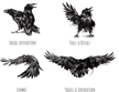 Be Like A Crow RPG - CKRPGBLACR [9781800687974]