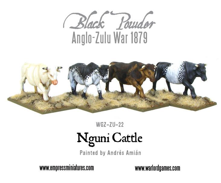 Black Powder Anglo-Zulu War 1879: Nguni Cattle 